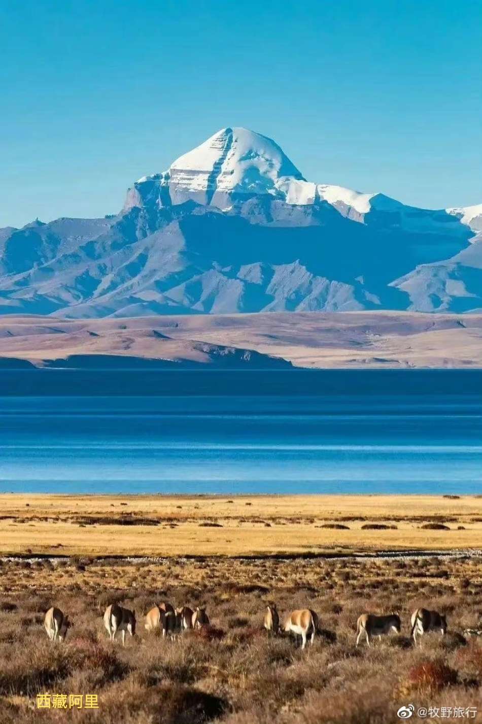 西藏阿里